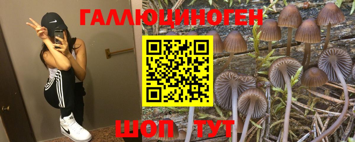 что такое   Галлюциногенные грибы Psilocybe  Вход с VPN  Великий Новгород 