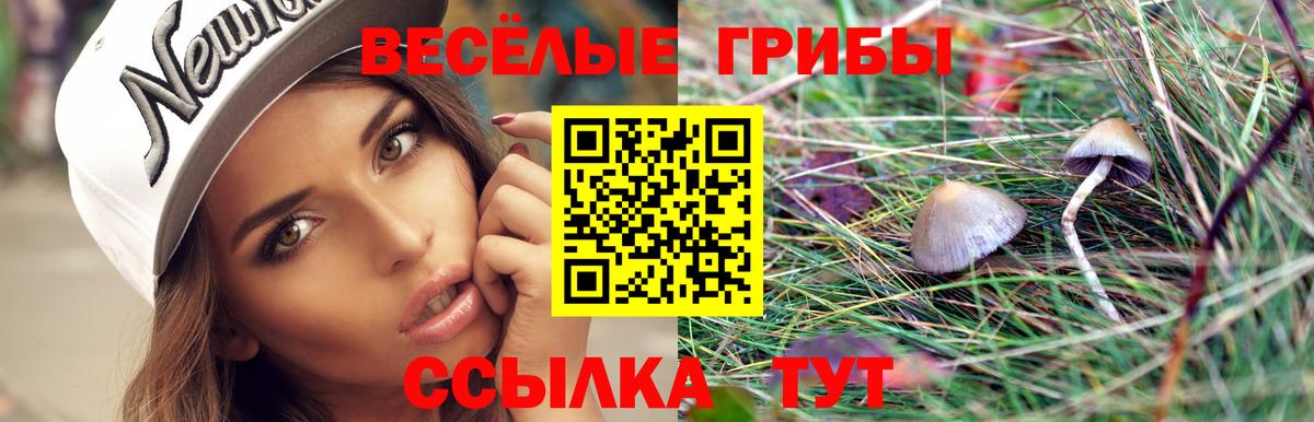 Галлюциногенные грибы ЛСД Великий Новгород