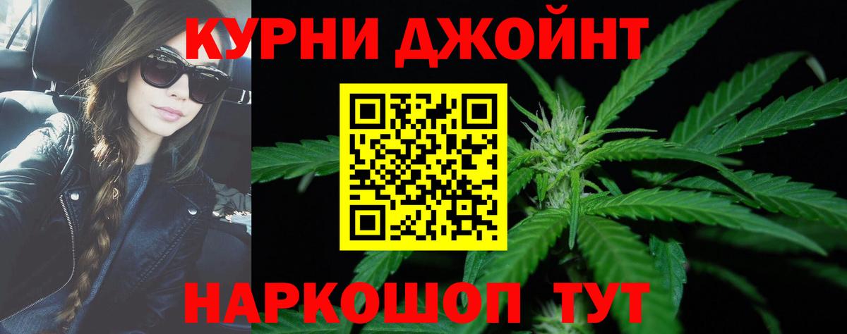 Конопля Amnesia  МАРИХУАНА SATIVA & INDICA  Каннабис план  Вход с VPN  Бошки Шишки сатива  Великий Новгород 